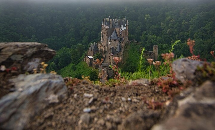 Image 2: Koblenz nach Schloss Eltz Private Tour