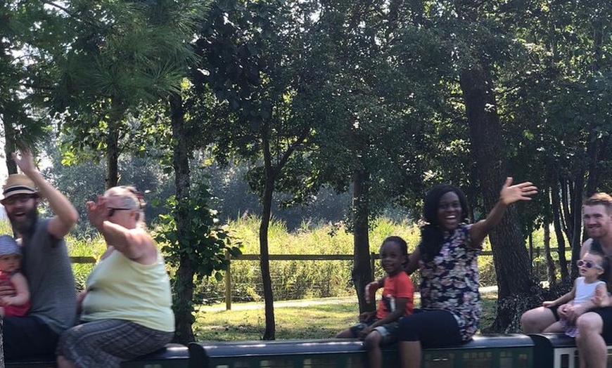 Image 43: London Walking Tour VIP