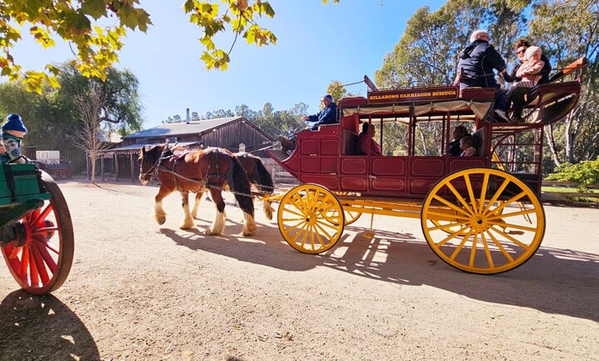 Image 7: Small-Group Murray River Adventure - Paddle Steamer & Wildlife