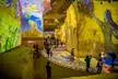 Saint-Rémy, Les Baux, des Carrières de Lumières au Pont du Gard - Image 5