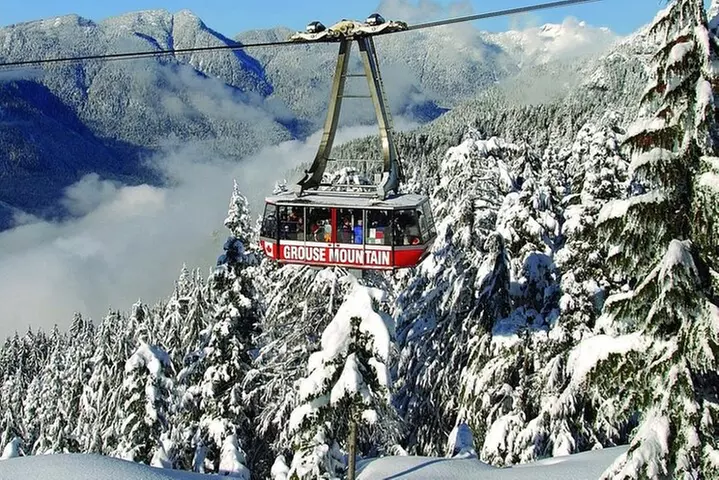 Private Tour of Capilano Suspension Bridge & Grouse Mountain. - Primary Image