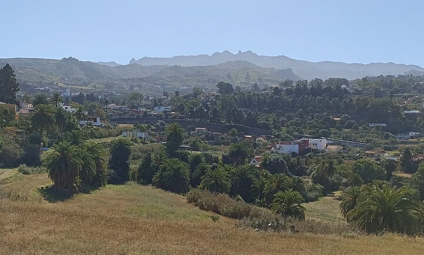 Image 15: Gran Canaria Premium Tour: Volcanes y Vino para cruceristas