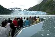 Prince William Sound 26 Glacier Cruise, Self-Drive - Second Medium