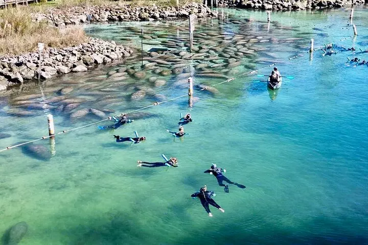 River Cruise Tour with Manatee Viewing