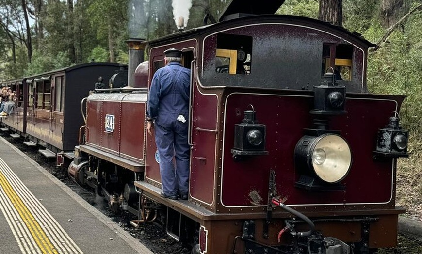 Image 2: Private Puffing Billy Steam Train and Healesville Sanctuary Tours