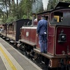 Image 2: Private Puffing Billy Steam Train and Healesville Sanctuary Tours