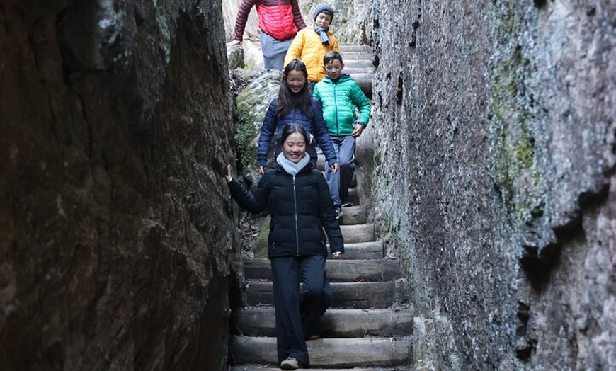 Image 39: Blue Mountains Private Tour