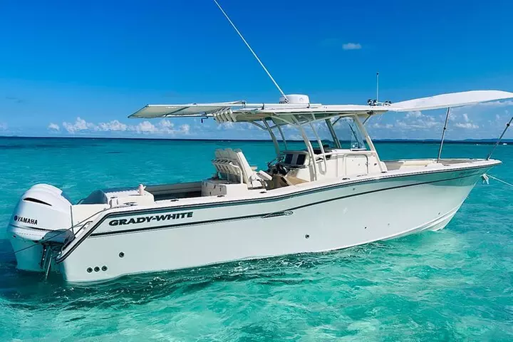 Private All-Inclusive Boat Charter to Icacos or Palomino island - Primary Image