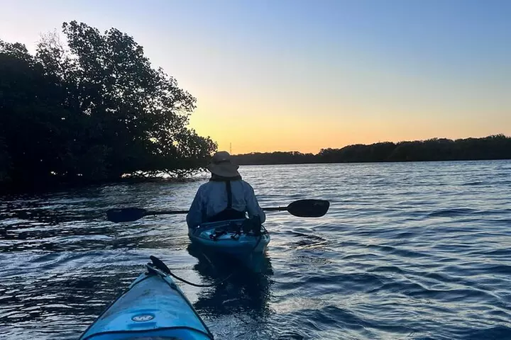 Dolphin Sanctuary Kayak Tours Twilight Mangrove Kayak - Primary Image