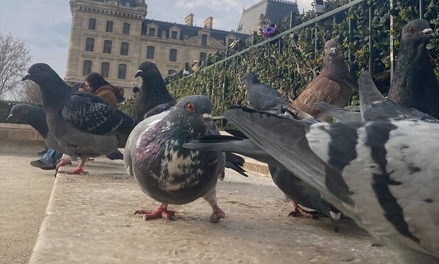 Image 3: Paris : Visite à pied extérieure Notre-Dame & Sainte-Chapelle