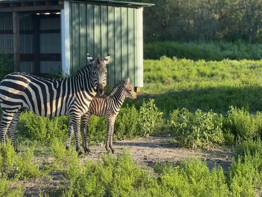 $25 For Park Admissions For 2 People (Reg. $50)