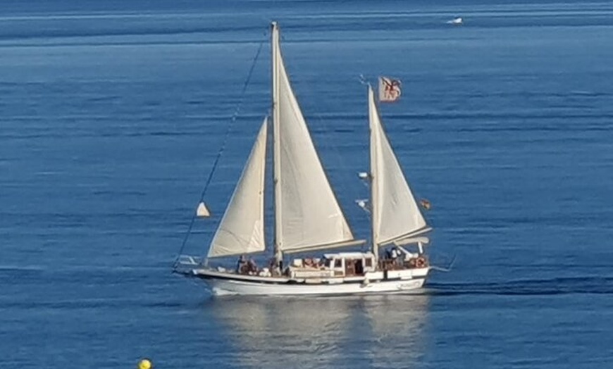 Image 8: Aventura de Avistamiento de Delfines en La Bahía de Estepona