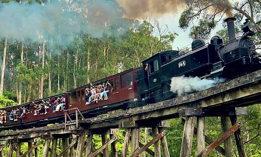 Image 2: Puffing Billy Tour and Penguin Parade from Melbourne