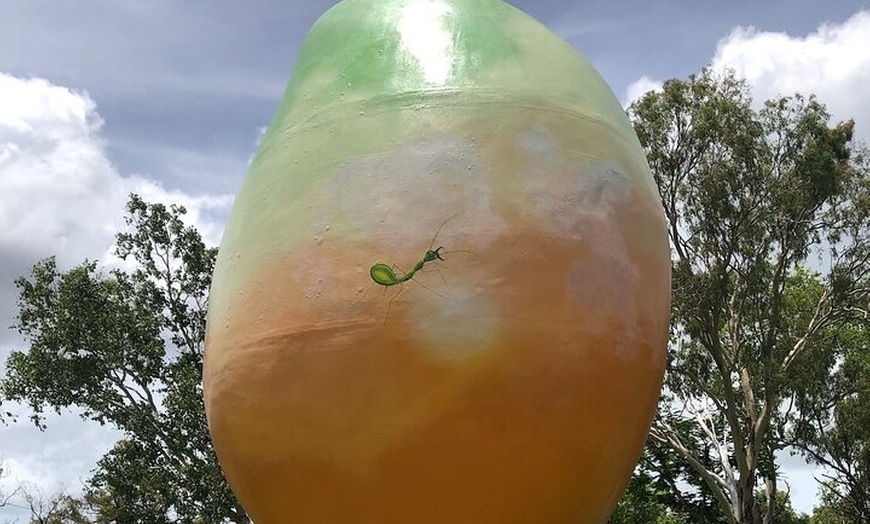 Image 5: Beautiful Bowen Private Tour Departing From Mackay.