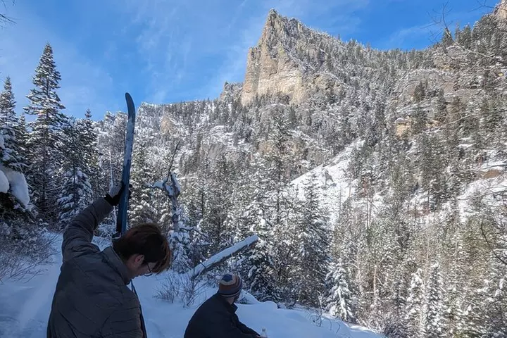 Leisurely Snowshoeing through the Bitterroot Mountains