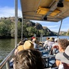 Image 3: Katherine Gorge Cruise & Edith Falls Day Trip from Darwin