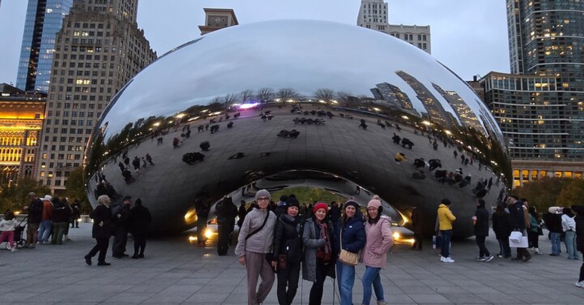 Chicago Citys Iconic Sights and Suburb Gems Tour