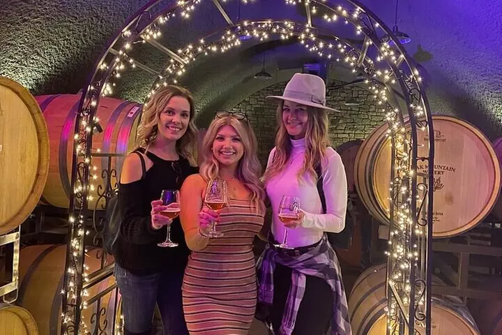 Private Temecula Wine Tour in The Wine Valley