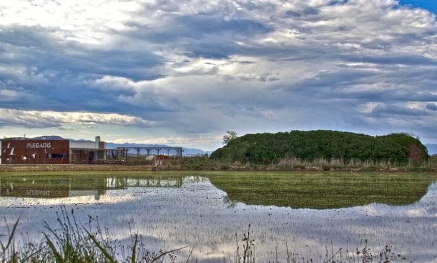 Image 3: Inmersión Holística en la Reserva de la Biosfera de les Terres de l...