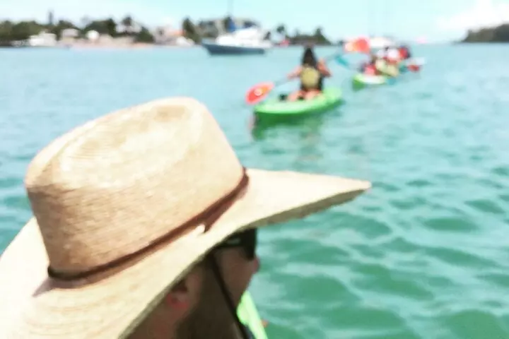 Kayaking with coastal wildlife in Sarasota Bay