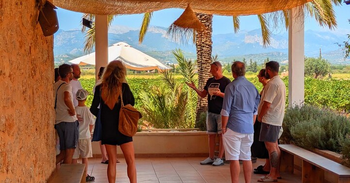 Tour de vinos locales en Santa María, Mallorca