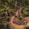 Image 4: Wooditjup Trails MTB Tour