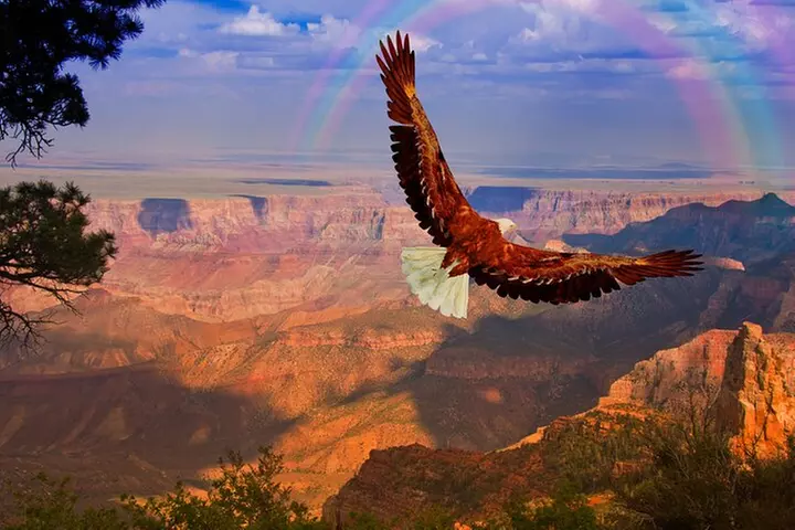The Perfect Grand Canyon Tour with Local Expert Guides