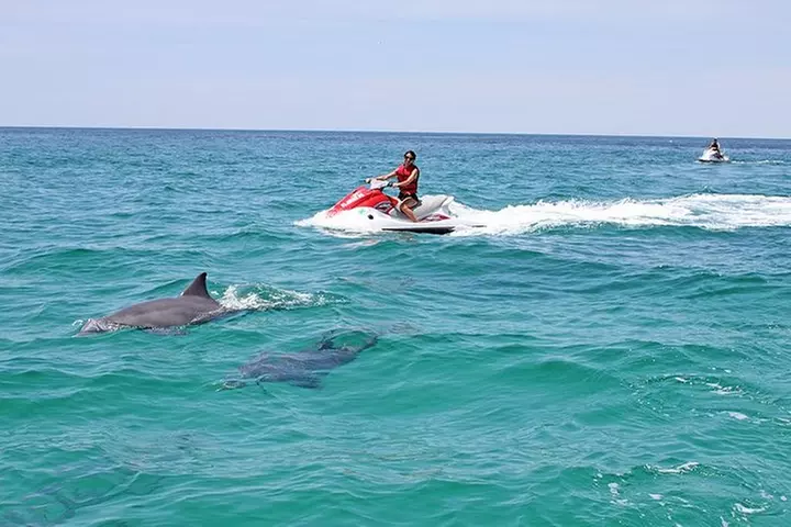 Waverunner Dolphin Tour - Primary Image