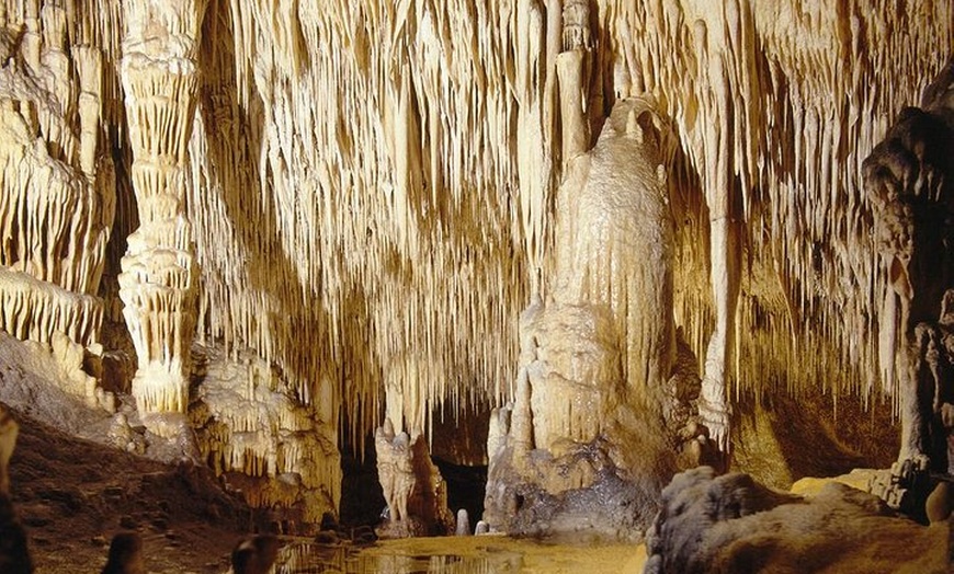 Image 17: Excursión a la Tienda de Perlas de Majorica y Cuevas del Drach.
