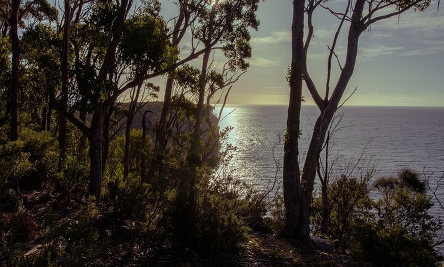 Image 7: Port Arthur, Richmond and Tassie Devils Active Tour from Hobart