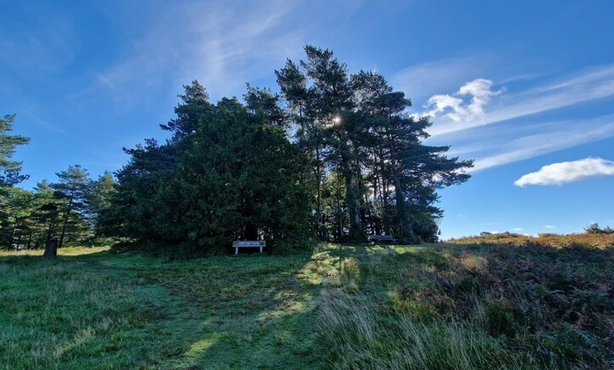 Image 5: From London Winnie the Poohs Hundred Acre Wood