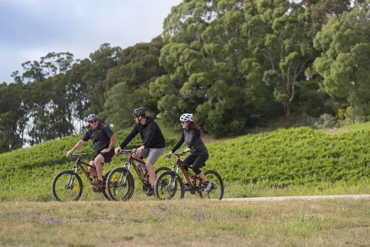 Hahndorf food and wine E-Bike Tour - Primary Image