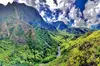 Iao Valley Nature Walk