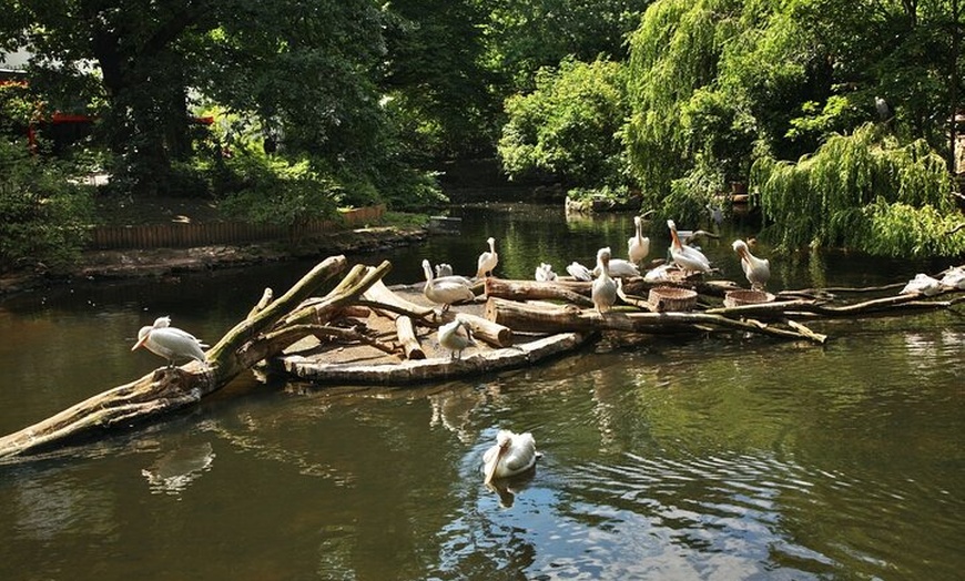 Image 11: Privater Transport zum Berliner Zoo