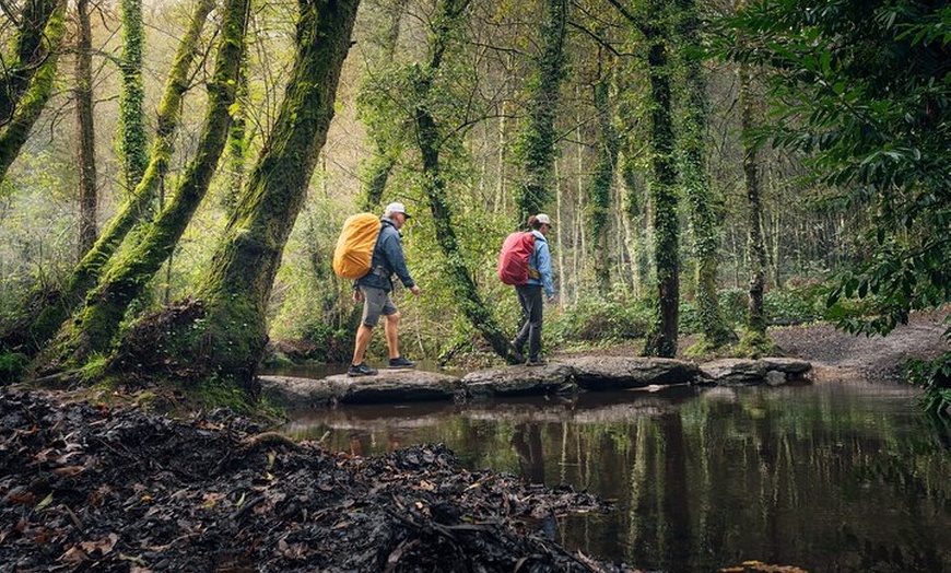 Image 6: Camino de Santiago Francés Premium de Sarria a Santiago