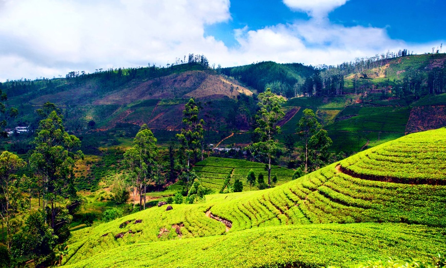 Image 8: ✈ SRI LANKA | Von Colombo nach Bentota - Die Highlights von Sri Lan...