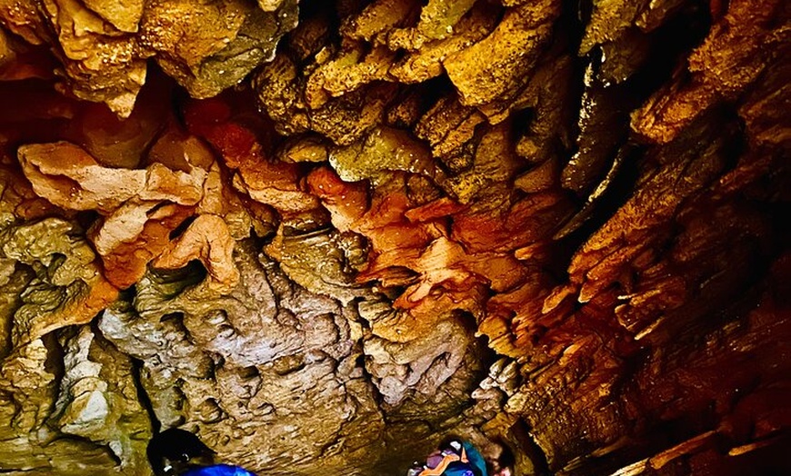 Image 7: Trek Shoot and Soothe Hiking Tour from Springwood Blue Mountains