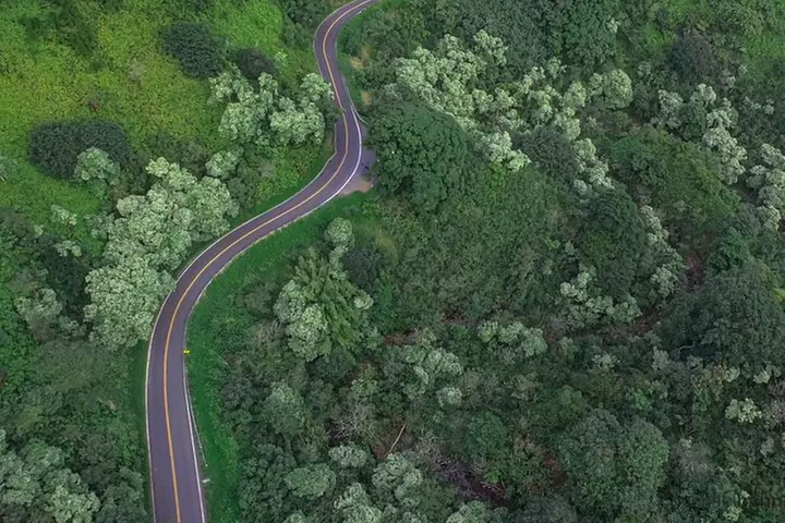 Maui: Road to Hana Adventure with Farm to Table Lunch