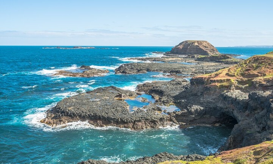 Image 13: Phillip Island Penguin Parade Day Tour from Melbourne