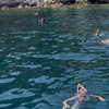 Image 5: Excursion de plongée en apnée dans la baie de Villefranche sur la C...