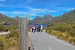 Cradle Mountain Day Tour: Dove Lake Guided Hike with Lunch - Image 4