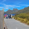 Image 4: Cradle Mountain Day Tour: Dove Lake Guided Hike with Lunch