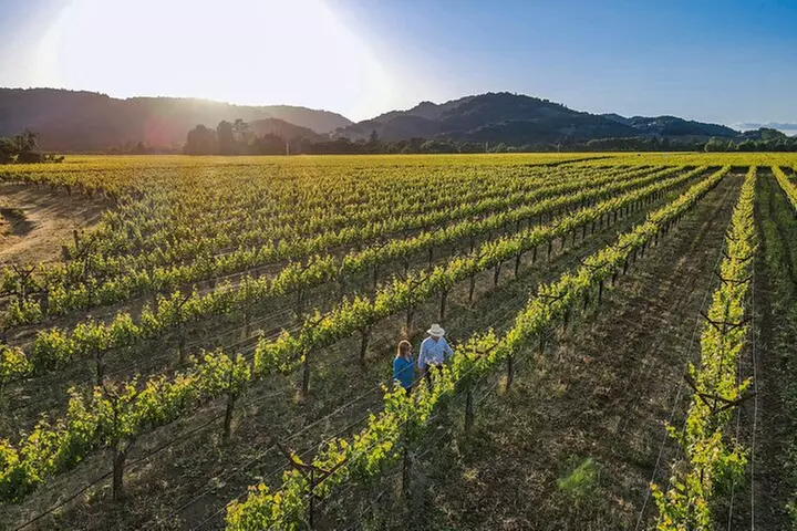 Serene and Romantic Wine Tasting Next to the Vines in Napa Valley - Primary Image