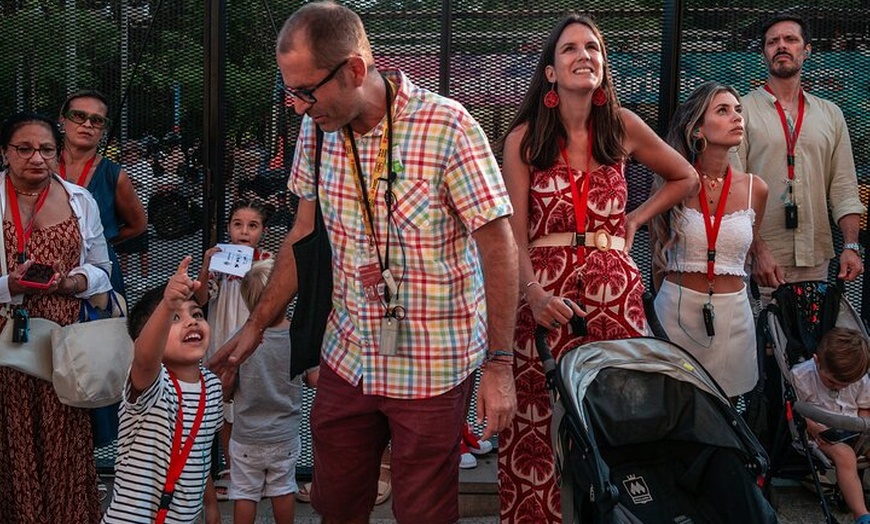 Image 9: Excursión en grupo pequeño a la Sagrada Familia de Barcelona para n...