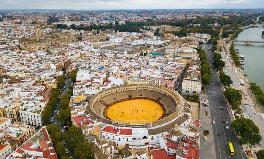 Image 7: Excursión privada de día completo a Sevilla con sesión de fotos gra...