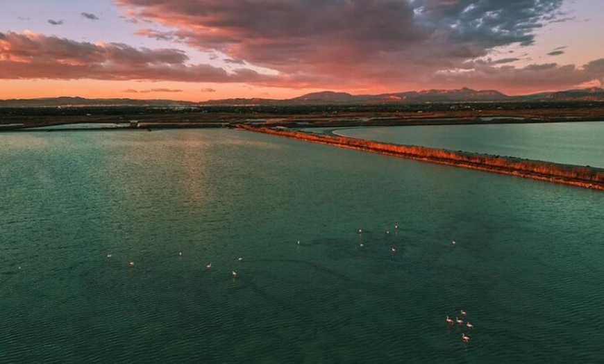 Image 9: Isla Tabarca y Santa Pola Salinas desde Alicante o Benidorm