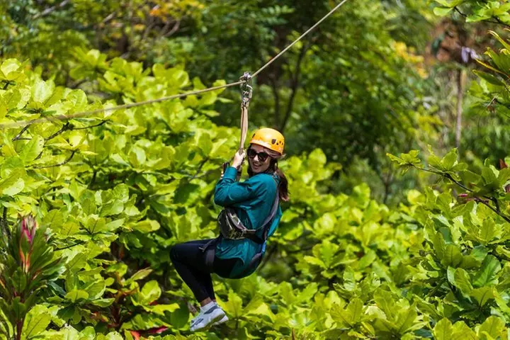 Big Island: 8-Zipline & Suspension Bridge Waterfall Adventure