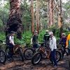 Image 5: Experience Adventure in the Margaret River Region