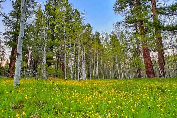 Bike Rental in South Lake Tahoe