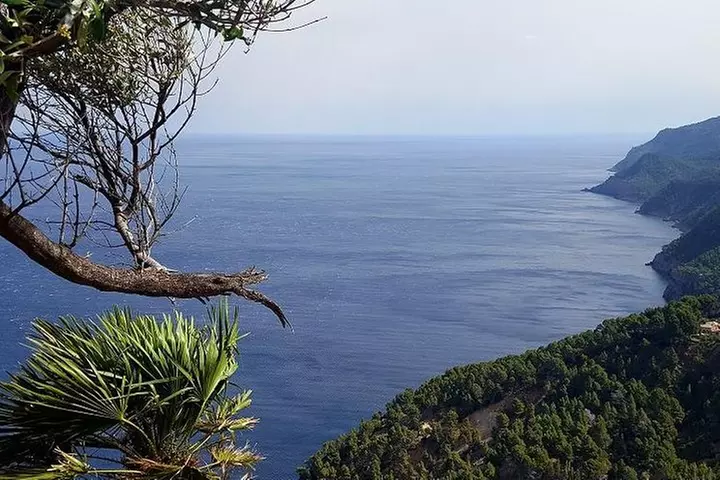 Excursión de día completo a las cuevas de Mallorca : Drach, Hams & ...